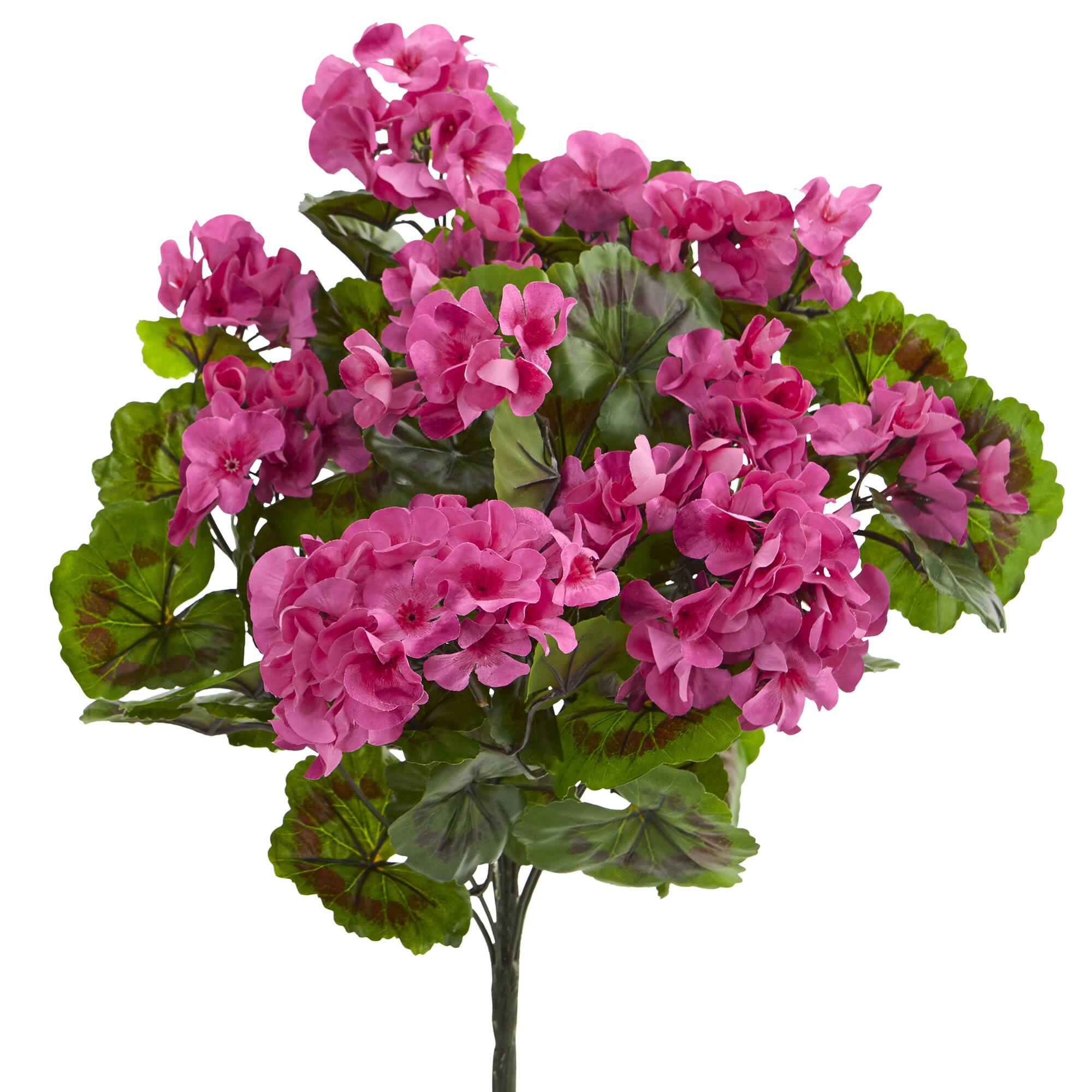 Pink & Green Geranium Bush, 3ct.